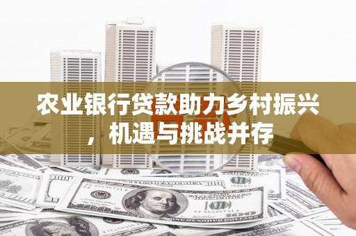 新洲农业银行贷款助力乡村振兴，机遇与挑战并存