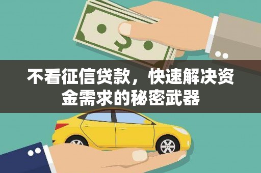 新洲不看征信贷款，快速解决资金需求的秘密武器