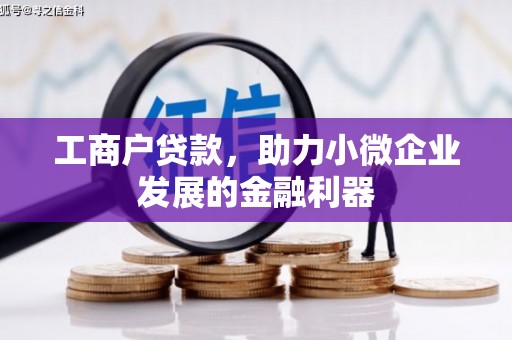 新洲工商户贷款，助力小微企业发展的金融利器
