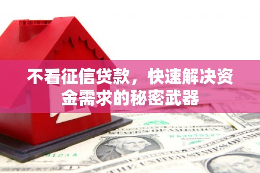 新洲不看征信贷款，快速解决资金需求的秘密武器