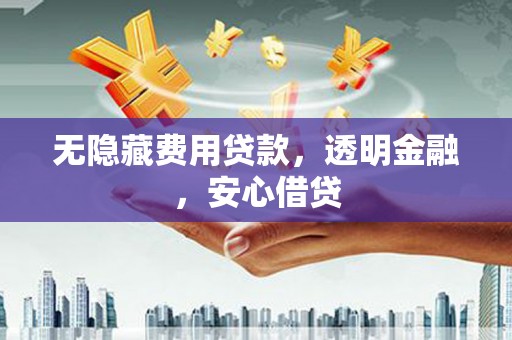 新洲无隐藏费用贷款，透明金融，安心借贷