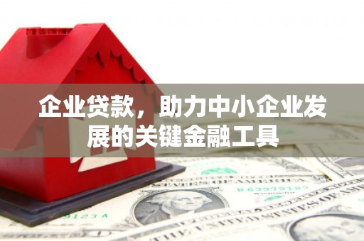 新洲企业贷款，助力中小企业发展的关键金融工具