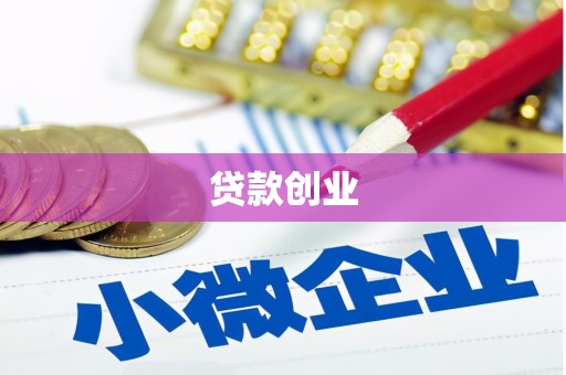 新洲贷款创业