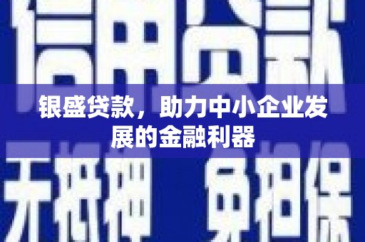 新洲银盛贷款，助力中小企业发展的金融利器