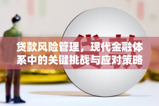 新洲贷款风险管理，现代金融体系中的关键挑战与应对策略