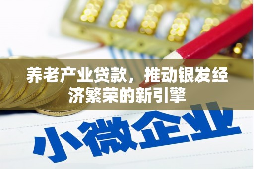 新洲养老产业贷款，推动银发经济繁荣的新引擎