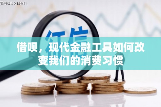 新洲借呗，现代金融工具如何改变我们的消费习惯