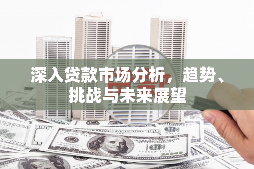 新洲深入贷款市场分析，趋势、挑战与未来展望