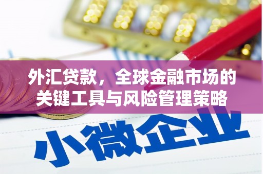 新洲外汇贷款，全球金融市场的关键工具与风险管理策略