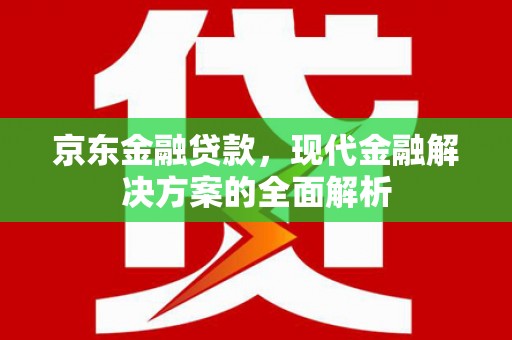 新洲京东金融贷款，现代金融解决方案的全面解析