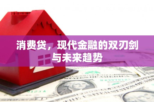 新洲消费贷，现代金融的双刃剑与未来趋势