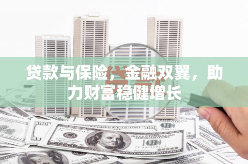 新洲贷款与保险，金融双翼，助力财富稳健增长