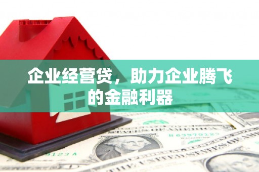 新洲企业经营贷，助力企业腾飞的金融利器
