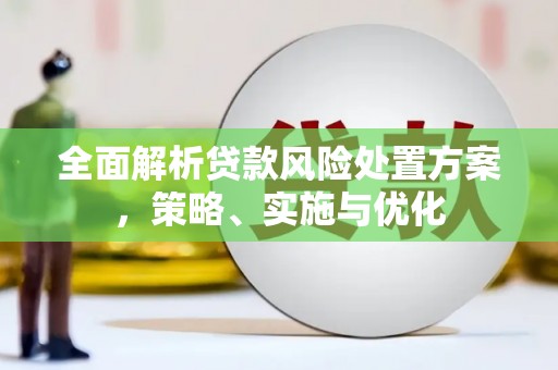 新洲全面解析贷款风险处置方案，策略、实施与优化