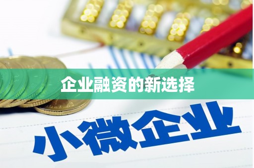 新洲企业融资的新选择