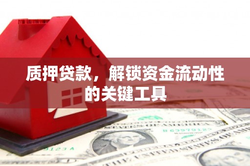 新洲质押贷款，解锁资金流动性的关键工具