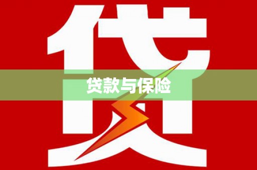 新洲贷款与保险