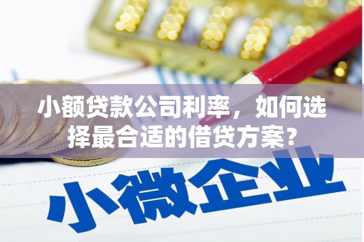 新洲小额贷款公司利率，如何选择最合适的借贷方案？