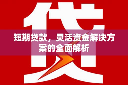 新洲短期贷款，灵活资金解决方案的全面解析
