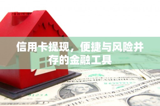 新洲信用卡提现，便捷与风险并存的金融工具
