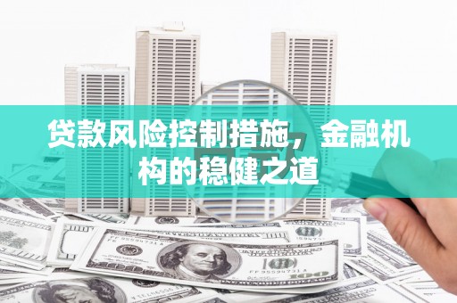 新洲贷款风险控制措施，金融机构的稳健之道