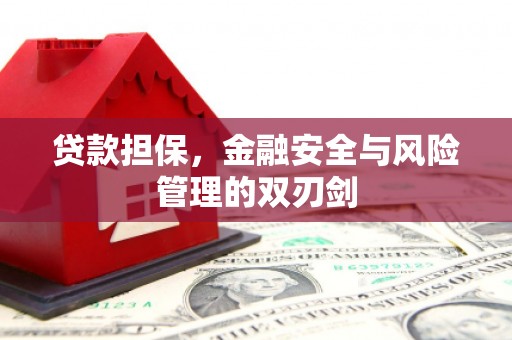新洲贷款担保，金融安全与风险管理的双刃剑