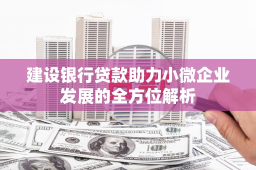 新洲建设银行贷款助力小微企业发展的全方位解析