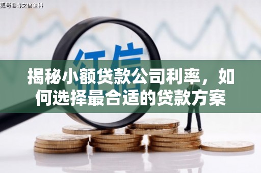 新洲揭秘小额贷款公司利率，如何选择最合适的贷款方案