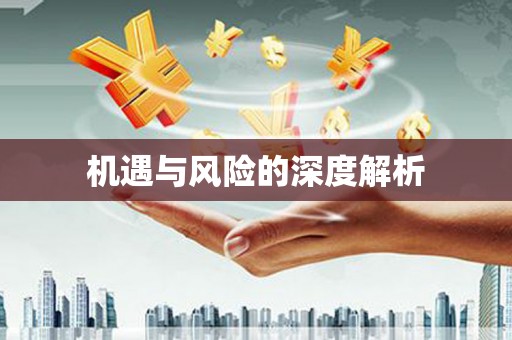 新洲机遇与风险的深度解析