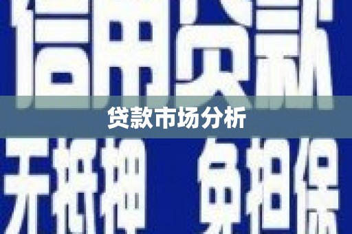 新洲贷款市场分析