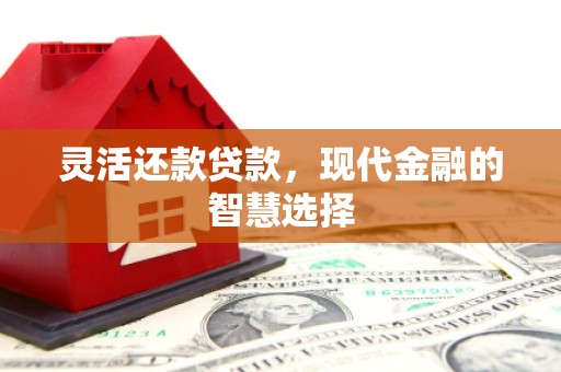 新洲灵活还款贷款，现代金融的智慧选择