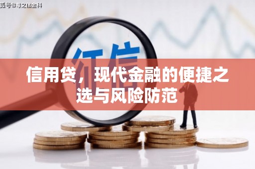 新洲信用贷，现代金融的便捷之选与风险防范