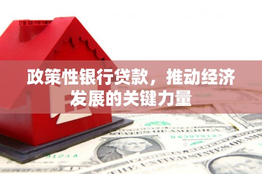 新洲政策性银行贷款，推动经济发展的关键力量