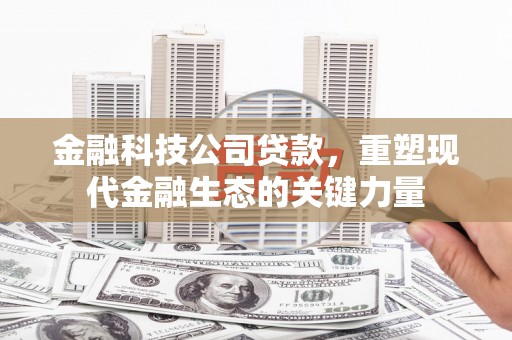 新洲金融科技公司贷款，重塑现代金融生态的关键力量