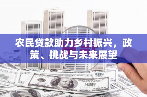 新洲农民贷款助力乡村振兴，政策、挑战与未来展望