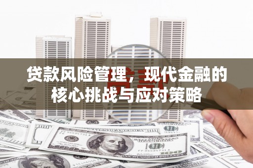 新洲贷款风险管理，现代金融的核心挑战与应对策略