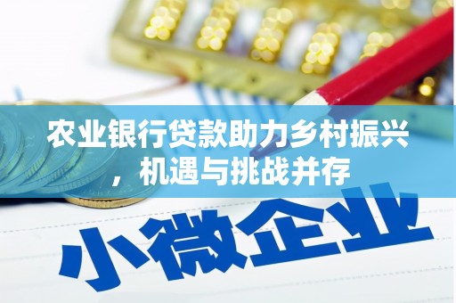 新洲农业银行贷款助力乡村振兴，机遇与挑战并存