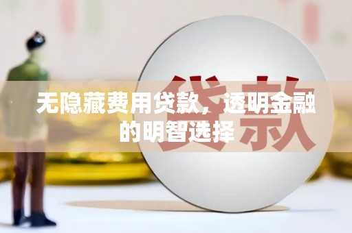 新洲无隐藏费用贷款，透明金融的明智选择