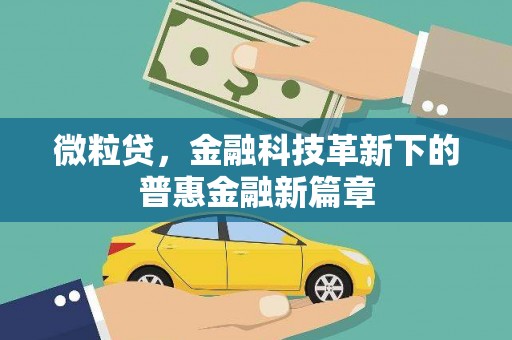 新洲微粒贷，金融科技革新下的普惠金融新篇章