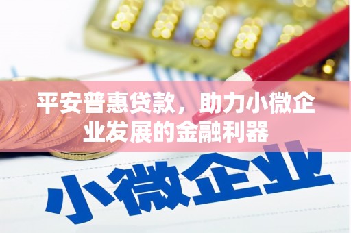 新洲平安普惠贷款，助力小微企业发展的金融利器