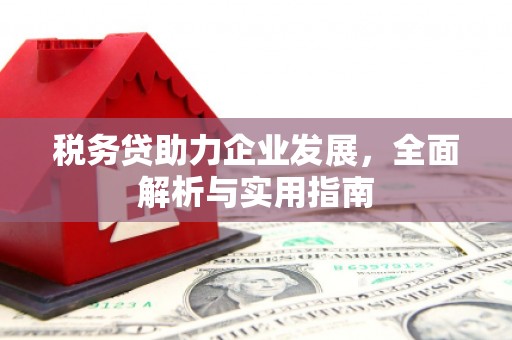 新洲税务贷助力企业发展，全面解析与实用指南