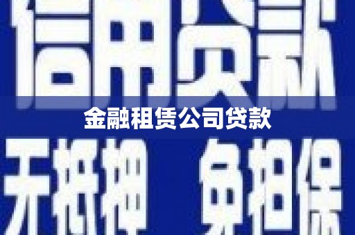 新洲金融租赁公司贷款