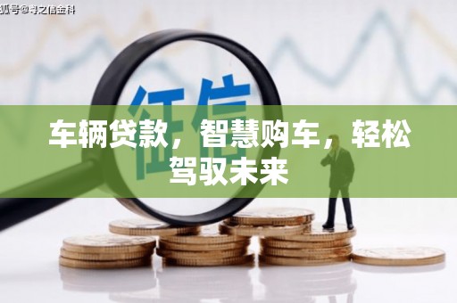 新洲车辆贷款，智慧购车，轻松驾驭未来