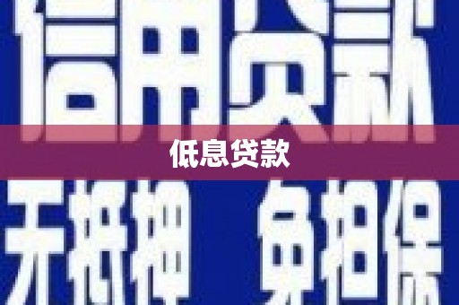 新洲低息贷款