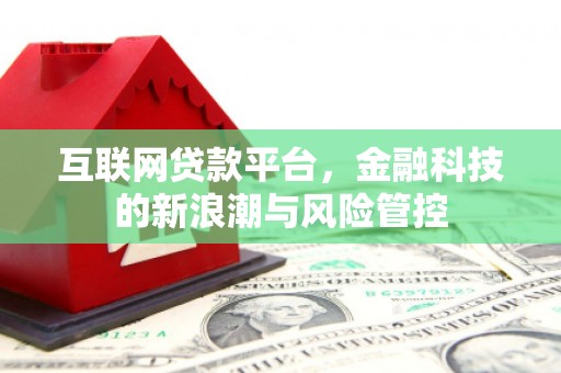 新洲互联网贷款平台，金融科技的新浪潮与风险管控