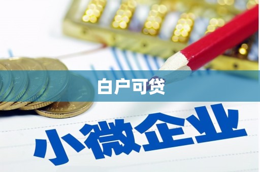 新洲白户可贷