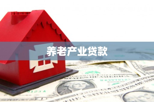 新洲养老产业贷款