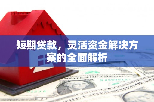 新洲短期贷款，灵活资金解决方案的全面解析