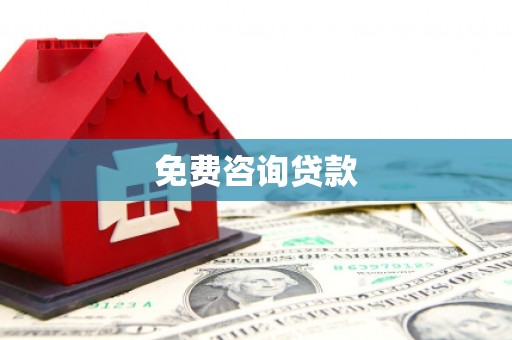 新洲免费咨询贷款