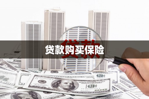 新洲贷款购买保险